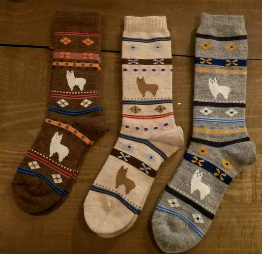 Small alpaca watching socks (Child)